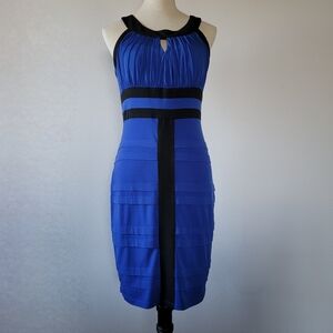 Sangria Sleeveless Bodycon Dress